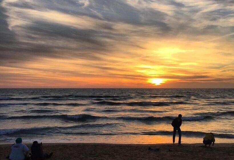 Bed and Breakfast Crowndale Torquay Exclusively For Adults