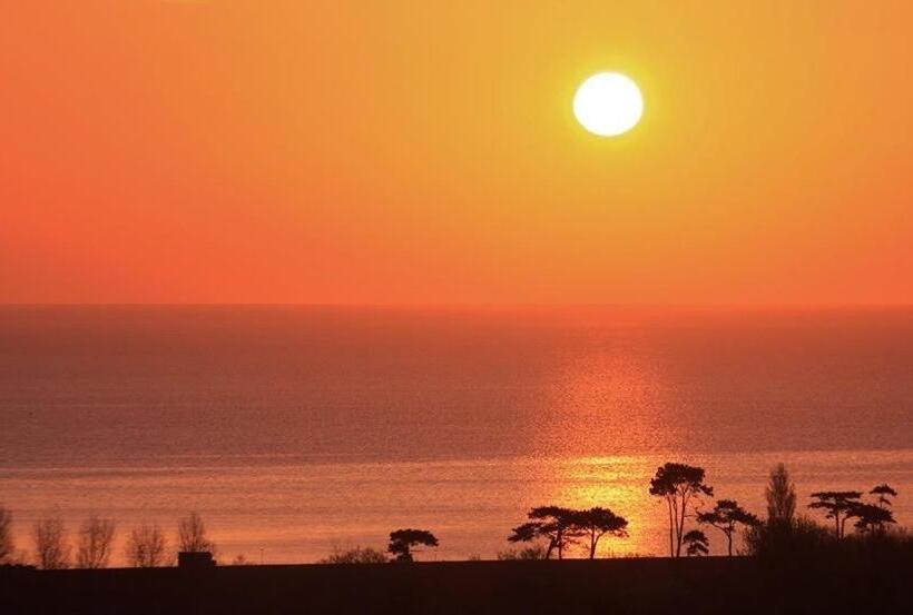 Bed and Breakfast Crowndale Torquay Exclusively For Adults