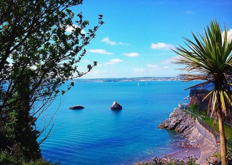 Bed and Breakfast Crowndale Torquay   Exclusively For Adults