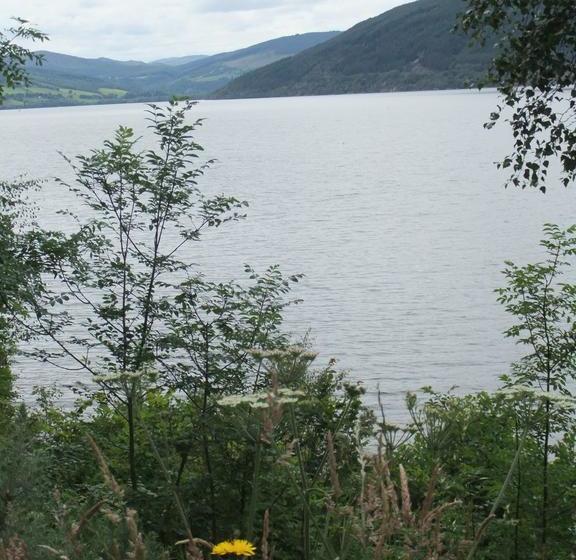 בית מלון כפרי Foyers Roost