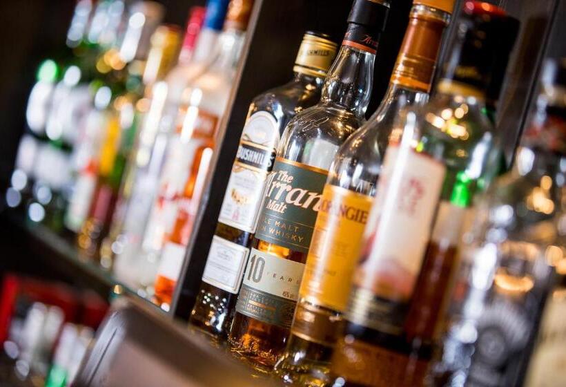 酒店 The Howard Arms