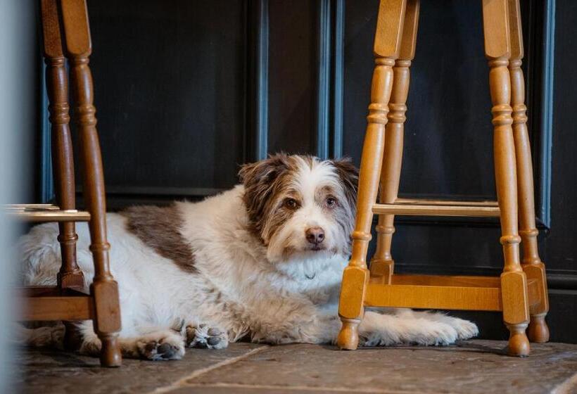 酒店 The Howard Arms