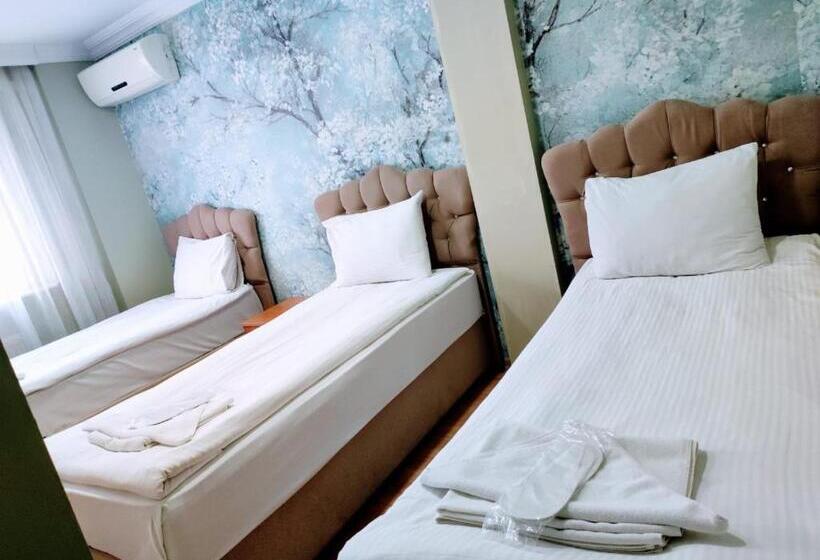 ホテル Seyri Istanbul