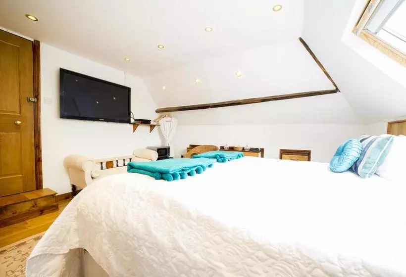 Molland Manor House Bed & Breakfast