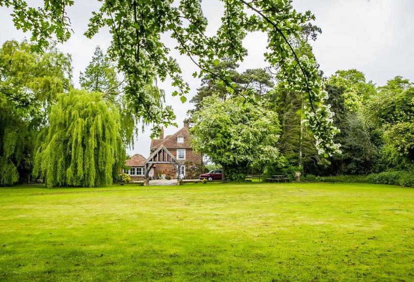 Molland Manor House Bed & Breakfast