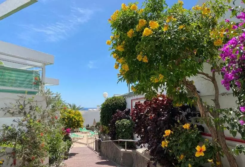 Acapulco Ocean View