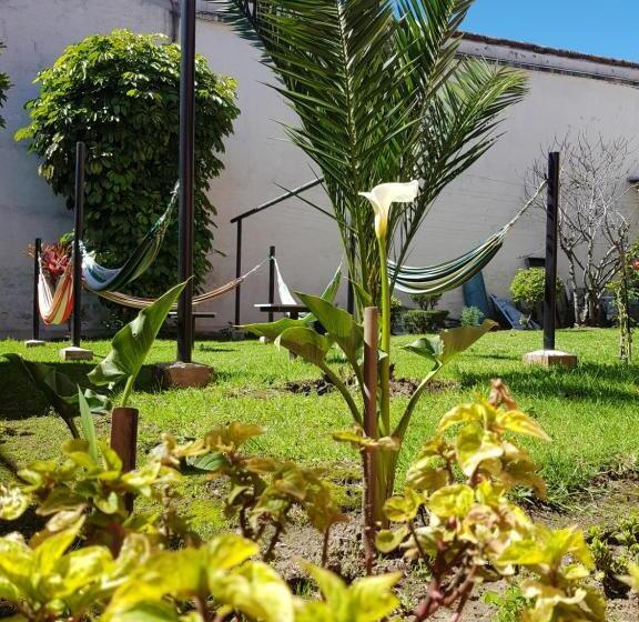 הוסטל Hostal Juana De Arco