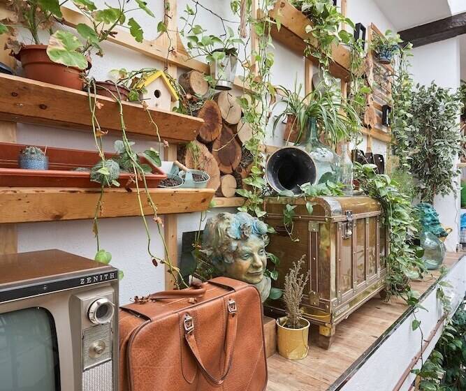 هاستل Rooms Vita