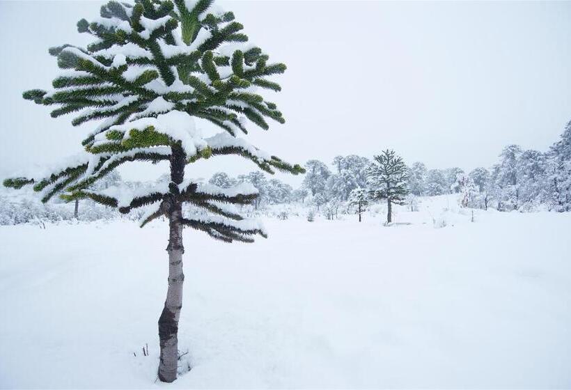 Grand Hotel Caviahue