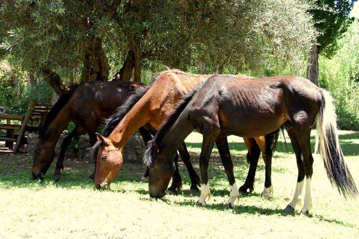 هتل Finca La Media Luna