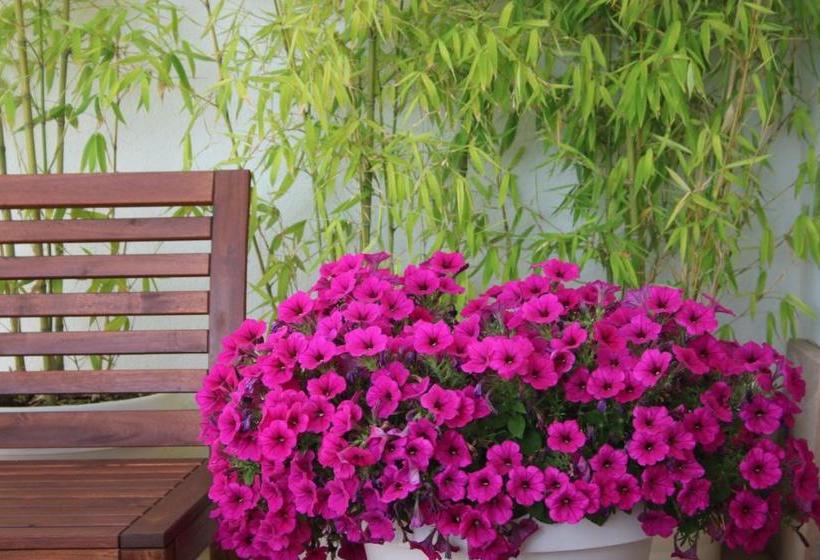 Отель Mare Nostrum