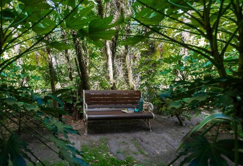 هتل Valeria House Rental Suites