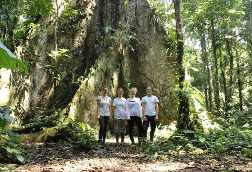 فندق صغير Hostal Tena ñaui