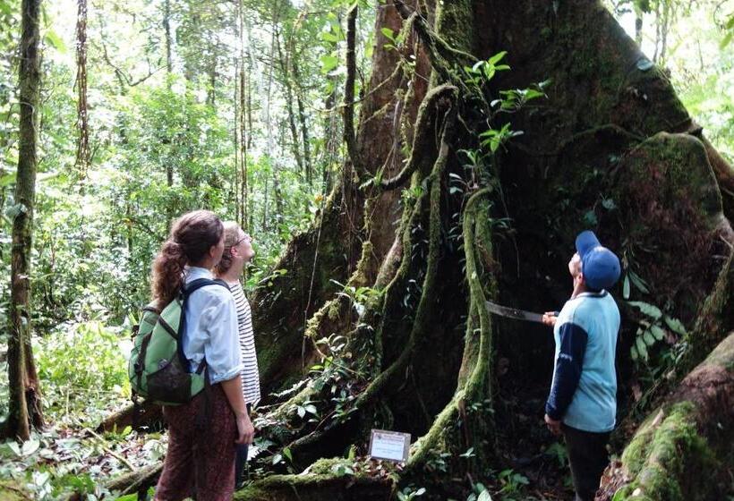 فندق صغير Hostal Tena ñaui