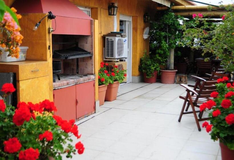 تختخواب و صبحانه Optimus Ba