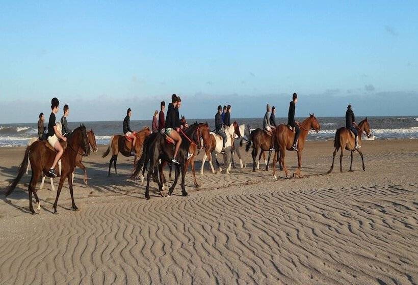 Resort Otel Albar Club De Mar