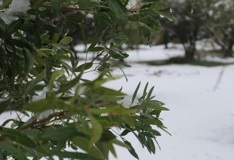 منتجع Cabañas Yanasuy