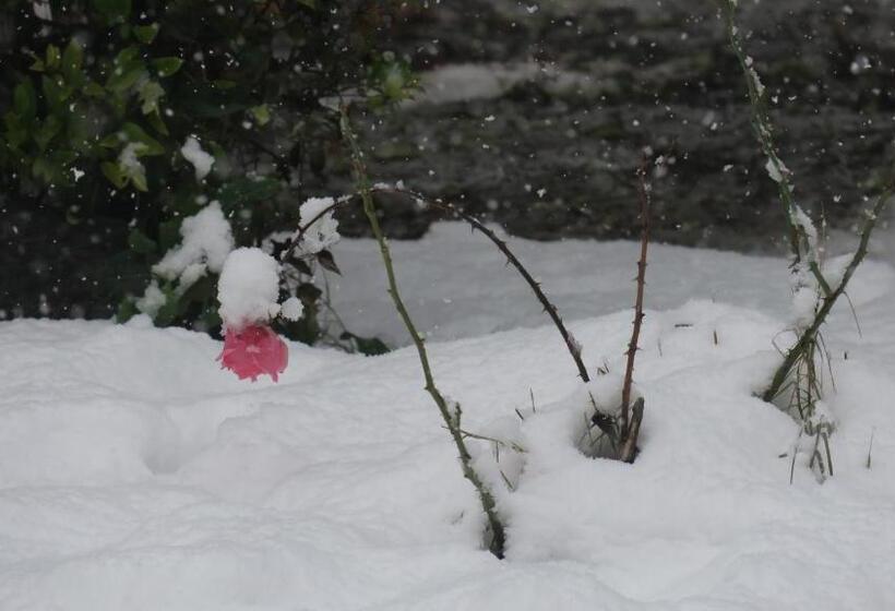 منتجع Cabañas Yanasuy