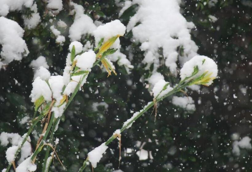 منتجع Cabañas Yanasuy