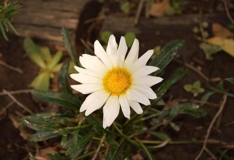 Курорт La Matilda