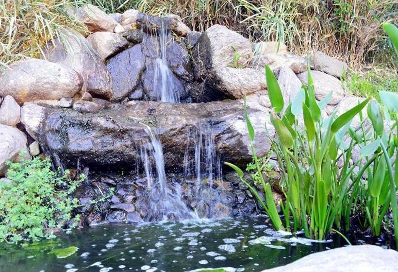 Курорт La Matilda