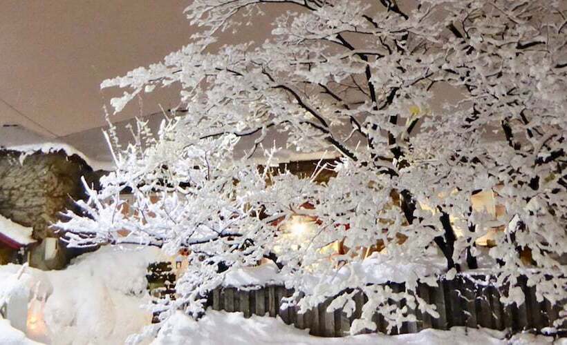 The Otaornai Backpacker S Hostel Morinoki