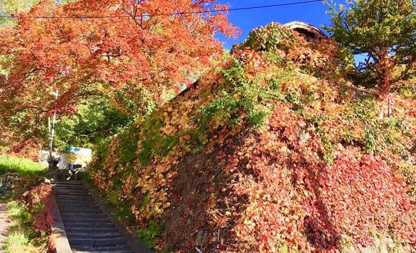 The Otaornai Backpacker S Hostel Morinoki