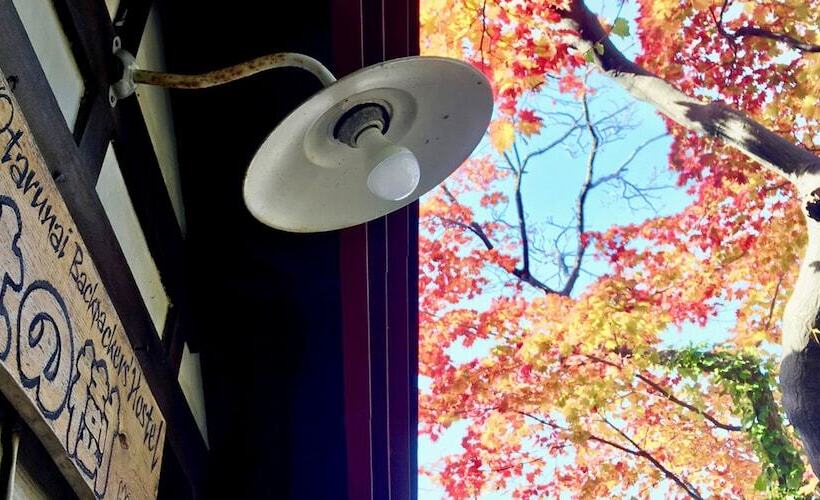 The Otaornai Backpacker S Hostel Morinoki