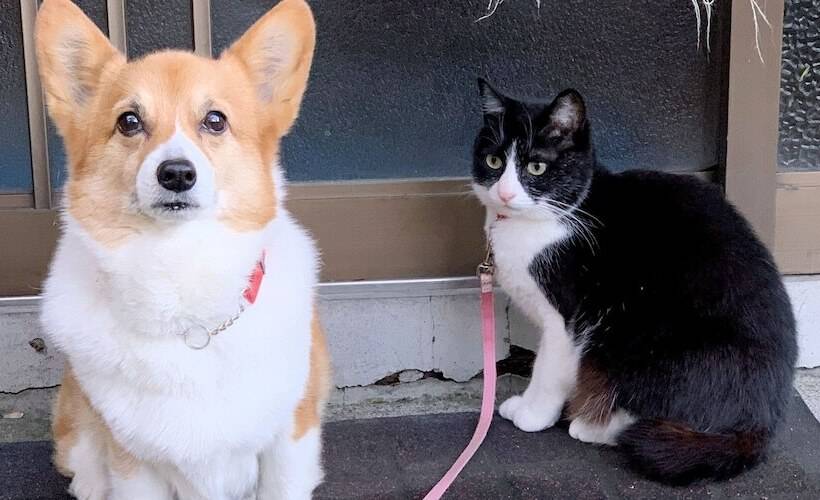 The Otaornai Backpacker S Hostel Morinoki