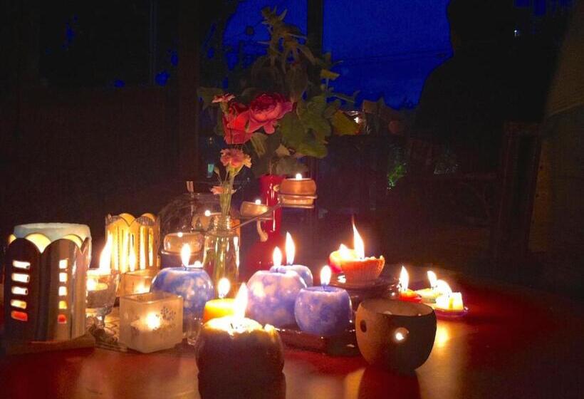 The Otaornai Backpacker S Hostel Morinoki