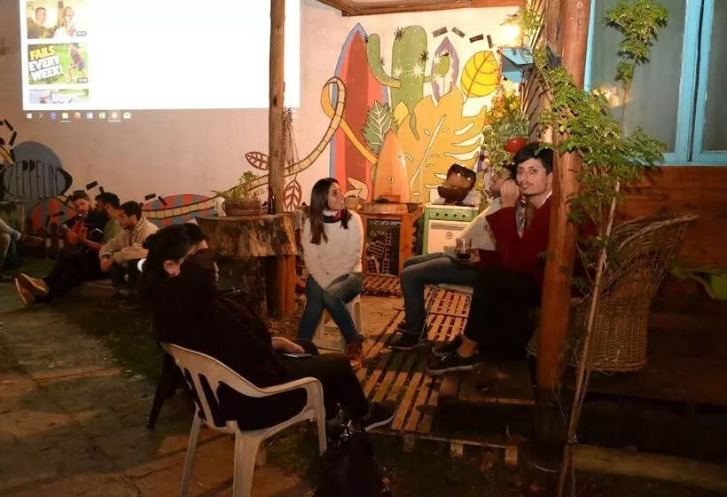 Zeppelin Art Hostel
