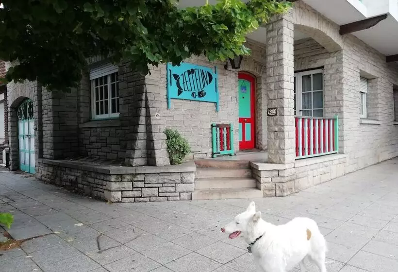 Zeppelin Art Hostel