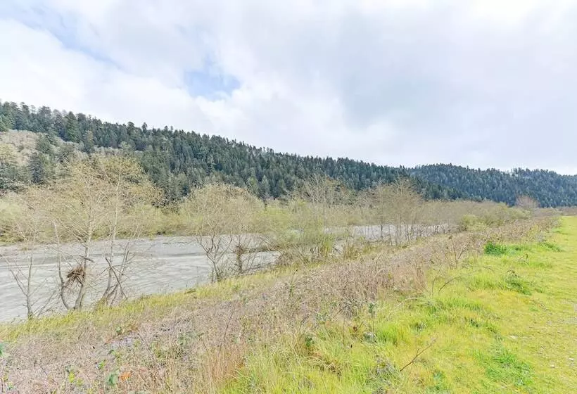 Cozy Norcal Cottage: 2 Mi To Redwoods & Beaches!