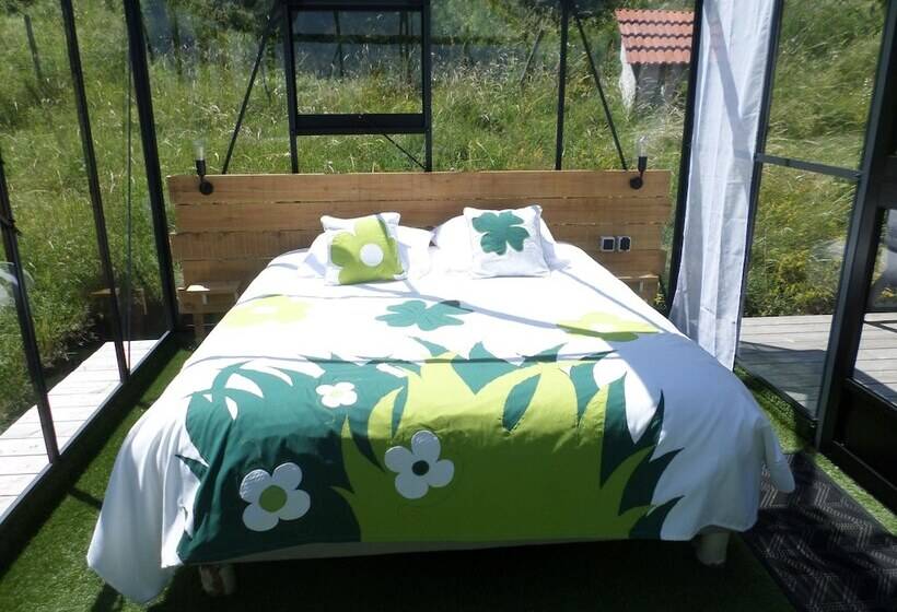 Nuits D Y Cîmes : Nuit Insolite Bulle, Spa