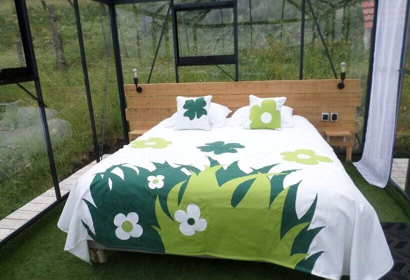 Nuits D Y Cîmes : Nuit Insolite Bulle, Spa