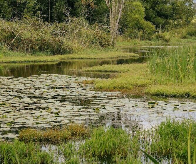 호텔 The Preserve Battenkill River