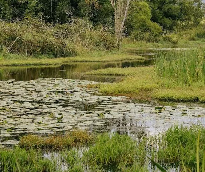 Hotelli The Preserve Battenkill River