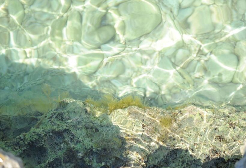 Пансион Room In Studio   Apartment Aniko Near The Sea