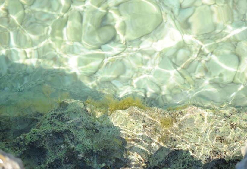 Пансион Room In Studio   Apartment Aniko Near The Sea