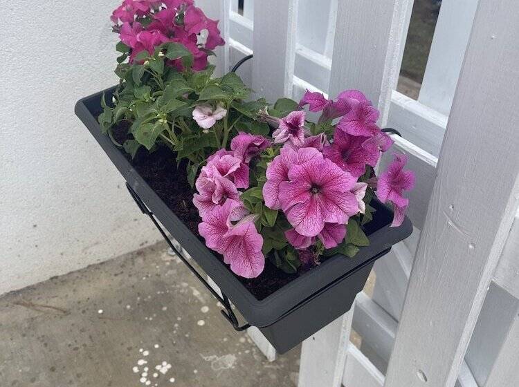 酒店 Asteria Apartments