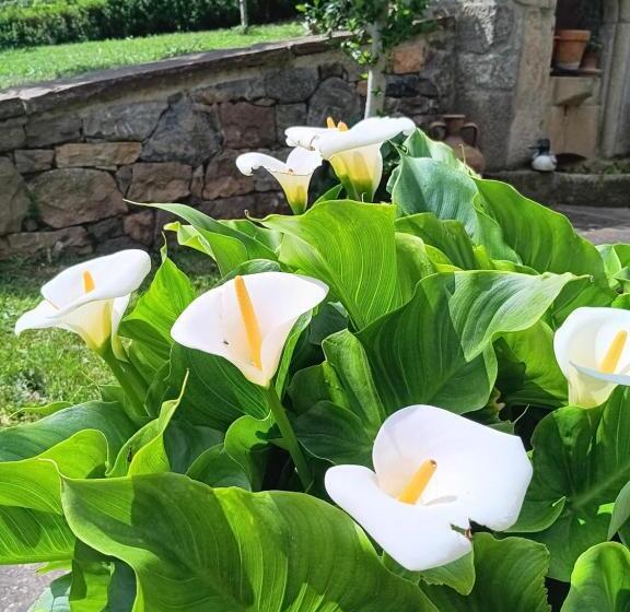 Hotel Finca Malvasia   Adults Only