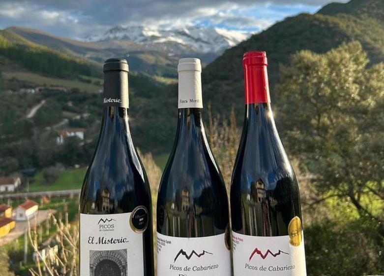 Hotel Finca Malvasia   Adults Only