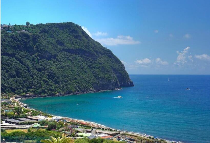 Panzió Room In B&b Standard Double Or Twin Room In Ischia For 2 People