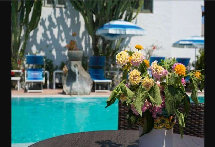 Panzió Room In B&b Standard Double Or Twin Room In Ischia For 2 People