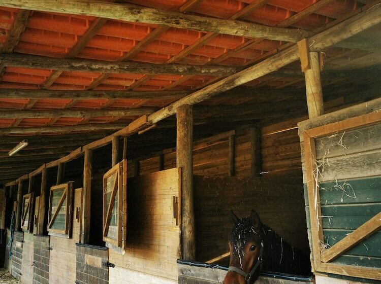 בית מלון כפרי Quinta Do Louredo   évora