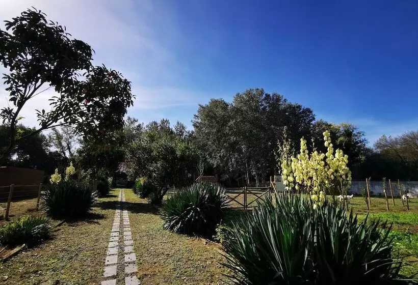 Maaseutuhotelli Quinta Do Louredo   évora