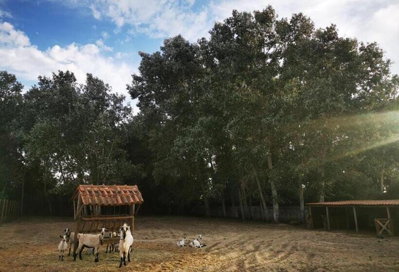 בית מלון כפרי Quinta Do Louredo   évora