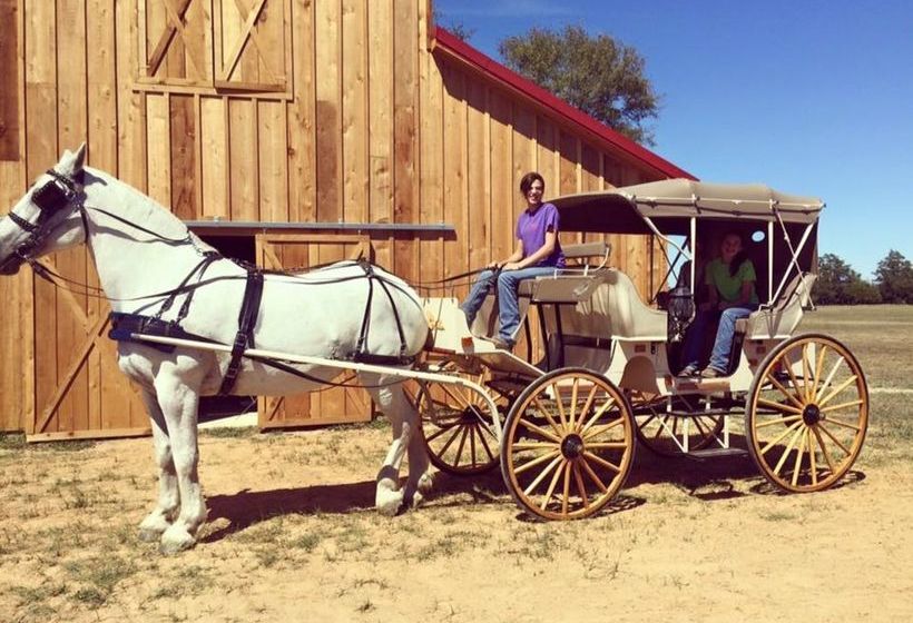 住宿加早餐  The Mansion At Red Hill