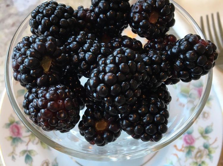 住宿加早餐  The Mansion At Red Hill