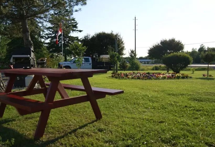 Blue Jay Motel